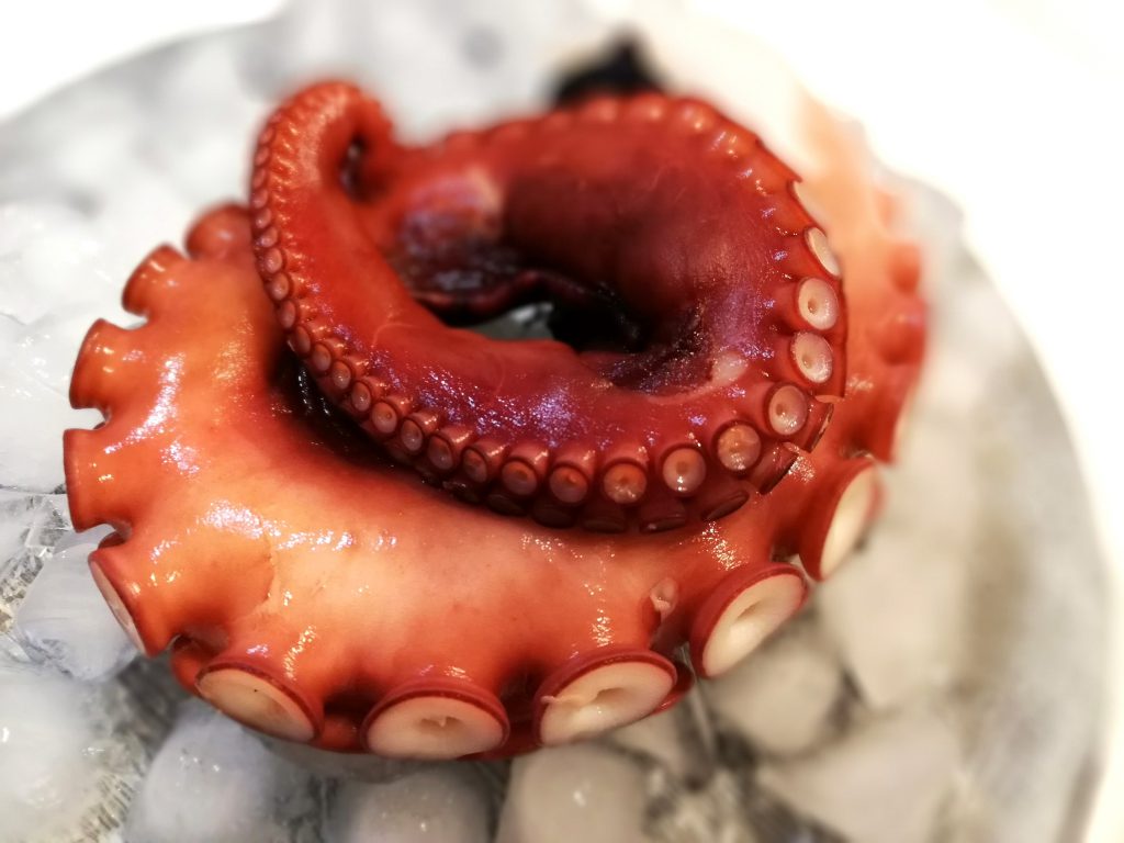 夏の旬対談 タコ編 石川県金沢発 食と農業を追求するopensauceの食農メディア